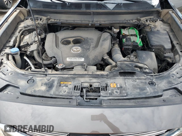 2018 Mazda CX-9 Touring with VIN JM3TCACY7J0206579, listed as a Copart auction lot 67508994 with 97,309 mi miles and Salvage title. Bid and sale history available at DreamBid. Image 12.