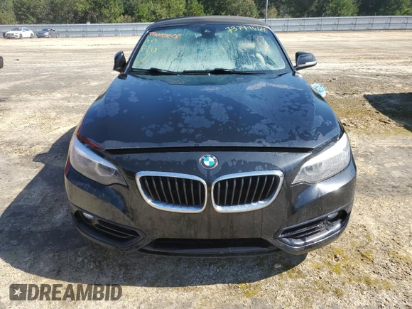 2019 BMW 2 Series 230i with VIN WBA2M7C57K7D33514, listed as a Copart auction lot 73794664 with 0 mi miles and Non Repairable. Bid and sale history available at carsss.com. Image 5.