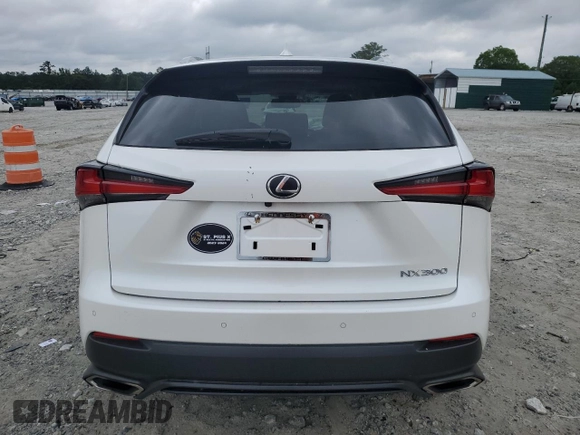 2018 Lexus NX 300 with VIN JTJYARBZ0J2099020, listed as a Copart auction lot 59034905 with 81,198 mi miles and Salvage title. Bid and sale history available at DreamBid. Image 6.
