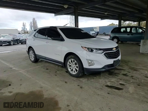 2018 Chevrolet Equinox LS with VIN 2GNAXHEV0J6301743, listed as a Copart auction lot 49280555 with Not Provided miles and Salvage Title. Bid and sale history available at DreamBid. Image 11.