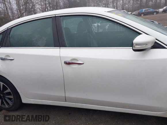 2018 Nissan Altima S with VIN 1N4AL3AP5JC231653, listed as a IAAI auction lot 41052345 with 173,709 mi miles and . Bid and sale history available at DreamBid. Image 13.