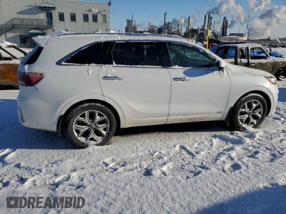 2019 Kia Sorento SX Limited with VIN 5XYPKDA57KG443558, listed as a Copart auction lot 88900285 with 140,827 mi miles and Salvage Title. Bid and sale history available at carsss.com. Image 3.