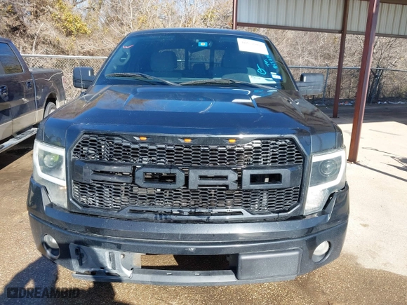 2013 Ford F-150 XL with VIN 1FTEW1CM8DKD11095, listed as a IAAI auction lot 41658268 with 215,583 mi miles. Bid and sale history available at carsss.com. Image 6.