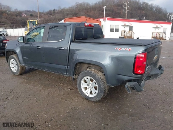 2017 Chevrolet Colorado 4WD LT with VIN 1GCGTCEN9H1209853, listed as a IAAI auction lot 41672171 with 106,715 mi miles. Bid and sale history available at carsss.com. Image 3.