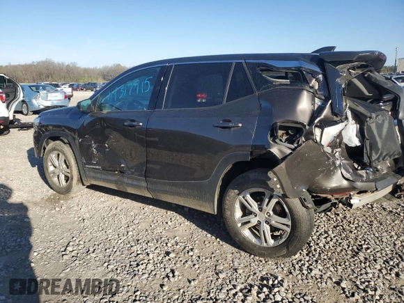 2019 GMC Terrain SLE with VIN 3GKALMEVXKL396391, listed as a Copart auction lot 49317915 with 129,172 mi miles and Salvage Title. Bid and sale history available at DreamBid. Image 2.