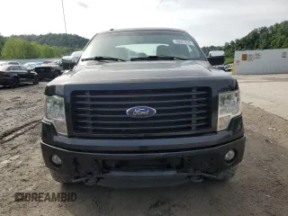 2014 Ford F-150 XL with VIN 1FTFW1EF4EFB23865, listed as a Copart auction lot 58557635 with 178,037 mi miles and Salvage title. Bid and sale history available at DreamBid. Image 5.