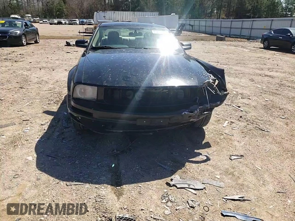 2005 Ford Mustang Deluxe with VIN 1ZVFT80N555244925, listed as a Copart auction lot 49692365 with 0 mi miles and Clean Title. Bid and sale history available at carsss.com. Image 11.