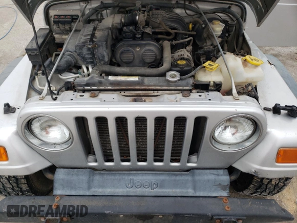 2006 Jeep Wrangler SE with VIN 1J4FA29176P755459, listed as a Copart auction lot 43160845 with 204,867 mi miles and Salvage Title. Bid and sale history available at carsss.com. Image 12.