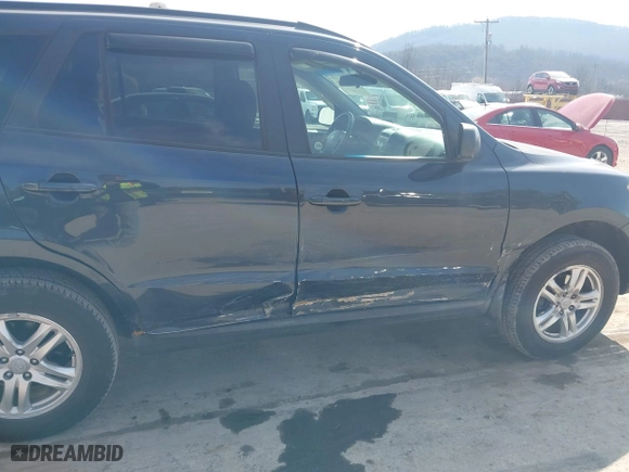 2011 Hyundai Santa Fe GLS with VIN 5XYZGDAB9BG076212, listed as a IAAI auction lot 41784196 with 123,256 mi miles. Bid and sale history available at carsss.com. Image 6.