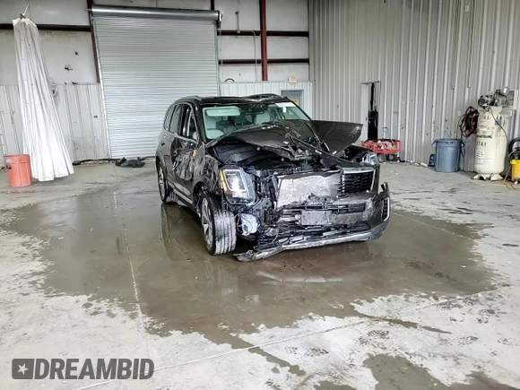2022 Kia Telluride S with VIN 5XYP6DHC3NG248392, listed as a Copart auction lot 60979775 with Not provided miles and Salvage title. Bid and sale history available at DreamBid. Image 14.