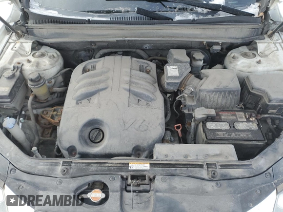 2009 Hyundai Santa Fe GL with VIN 5NMSG13E99H318861, listed as a Copart auction lot 46081195 with 294,793 mi miles and Clean title. Bid and sale history available at DreamBid. Image 11.