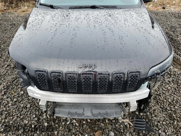 2019 Jeep Cherokee Altitude with VIN 1C4PJMLN1KD345771, listed as a Copart auction lot 48953285 with 119,719 mi miles and Salvage Title. Bid and sale history available at carsss.com. Image 11.