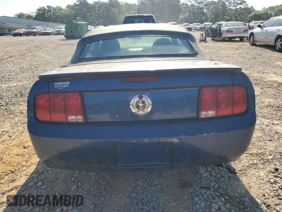 2008 Ford Mustang Deluxe with VIN 1ZVHT84N685204389, listed as a Copart auction lot 53347695 with Not Provided miles and Clean Title. Bid and sale history available at carsss.com. Image 6.