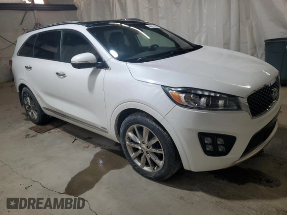 2016 Kia Sorento SXL with VIN 5XYPKDA56GG174363, listed as a Copart auction lot 45635765 with 125,023 mi miles and Salvage title. Bid and sale history available at DreamBid. Image 4.