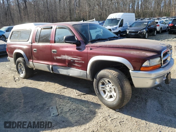 2002 Dodge Dakota SLT with VIN 1B7HG48N82S536711, listed as a Copart auction lot 48142485 with 0 mi miles and Salvage Title. Bid and sale history available at carsss.com. Image 4.