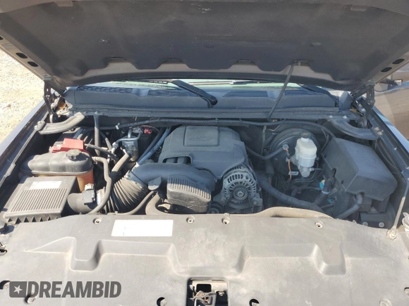 2010 Chevrolet Silverado 1500 LS with VIN 1GCSCREA2AZ114133, listed as a Copart auction lot 69584964 with 205,305 mi miles and Salvage Title. Bid and sale history available at DreamBid. Image 13.