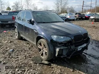 2012 BMW X5 M with VIN 5YMGY0C55CLK27483, listed as a Copart auction lot 85232104 with 116,338 mi miles and Salvage Title. Bid and sale history available at carsss.com. Image 11.