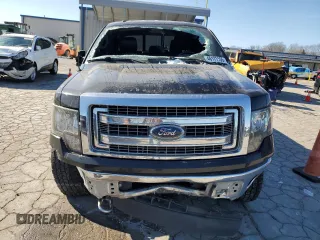2013 Ford F-150 XL with VIN 1FTFW1EF9DKG29309, listed as a Copart auction lot 46171155 with 136,283 mi miles and Salvage title. Bid and sale history available at DreamBid. Image 5.