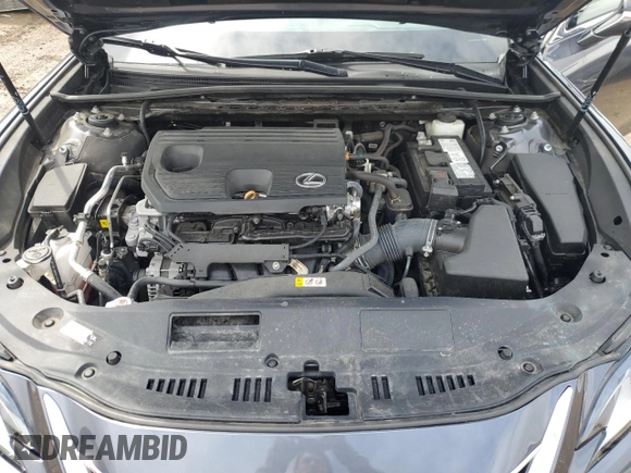 2022 Lexus ES 250 with VIN 58AD11D13NU009089, listed as a Copart auction lot 59532615 with 43,248 mi miles and Salvage title. Bid and sale history available at DreamBid. Image 11.