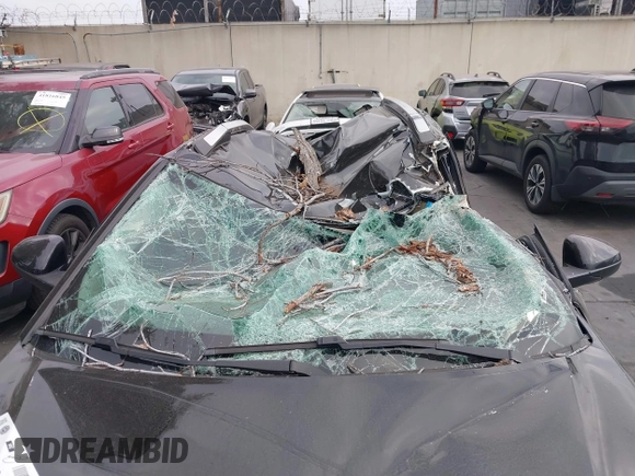 2022 Chevrolet TrailBlazer LT with VIN KL79MPS26NB010883, listed as a IAAI auction lot 41812015 with 61,508 mi miles and . Bid and sale history available at DreamBid. Image 6.
