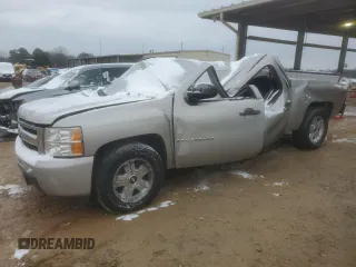 2009 Chevrolet Silverado 1500 with VIN 2GCEC23J191140301, listed as a Copart auction lot 45950505 with Not Provided miles and Non Repairable. Bid and sale history available at DreamBid. Image 1.