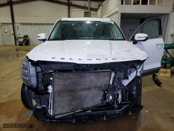 2021 Kia Telluride SX with VIN 5XYP54HC5MG166276, listed as a Copart auction lot 43390455 with 57,437 mi miles and Salvage Title. Bid and sale history available at carsss.com. Image 12.