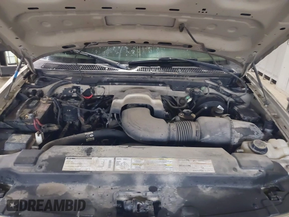 1999 Ford F-150 with VIN 1FTRX18W0XKA68363, listed as a IAAI auction lot 41524104 with 218,400 mi miles and . Bid and sale history available at DreamBid. Image 10.
