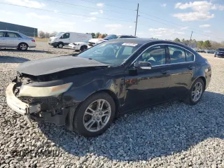 2010 Acura TL with VIN 19UUA8F29AA002350, listed as a Copart auction lot 46740185 with 0 mi miles and Salvage Title. Bid and sale history available at carsss.com. Image 1.