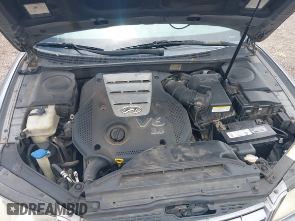 2006 Hyundai Azera SE with VIN KMHFC46F76A043396, listed as a IAAI auction lot 42398355 with 232,418 mi miles and . Bid and sale history available at DreamBid. Image 10.