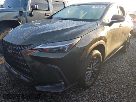 2022 Lexus NX with VIN 2T2ADCAZ4NC002446, listed as a Copart auction lot 73936134 with 11,751 mi miles and Salvage Title. Bid and sale history available at carsss.com. Image 1.