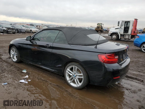2016 BMW 2 Series 228i xDrive with VIN WBA1L9C59GV325182, listed as a Copart auction lot 41804824 with 44,549 mi miles. Bid and sale history available at carsss.com. Image 2.