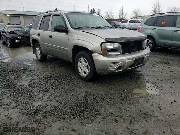 2002 Chevrolet TrailBlazer LTZ with VIN 1GNDT13SX22438129, listed as a Copart auction lot 46121475 with 170,509 mi miles and Salvage Title. Bid and sale history available at carsss.com. Image 12.