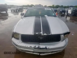 2006 Ford Mustang Standard with VIN 1ZVFT84N265254517, listed as a Copart auction lot 54133895 with 144,151 mi miles and Clean Title. Bid and sale history available at carsss.com. Image 6.