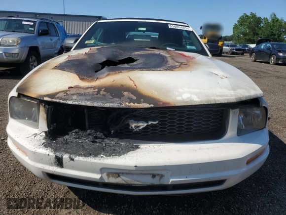 2005 Ford Mustang Deluxe with VIN 1ZVFT84N755194037, listed as a Copart auction lot 61485405 with Not provided miles and Salvage title. Bid and sale history available at DreamBid. Image 5.