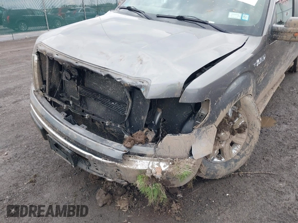 2011 Ford F-150 XL with VIN 1FTFW1EF8BFD03930, listed as a IAAI auction lot 42081058 with 114,241 mi miles. Bid and sale history available at carsss.com. Image 6.