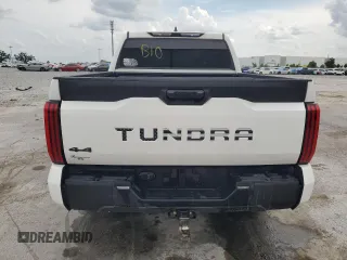 2023 Toyota Tundra SR with VIN 5TFKB5DB2PX111047, listed as a Copart auction lot 58541065 with 42,408 mi miles and Salvage title. Bid and sale history available at DreamBid. Image 6.