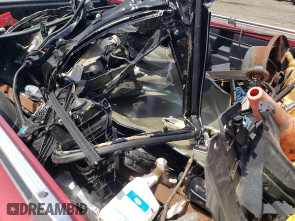 1995 Ford F-150 with VIN 1FTEF15N7SNB13223, listed as a Copart auction lot 56002595 with Not provided miles and Salvage title. Bid and sale history available at DreamBid. Image 10.