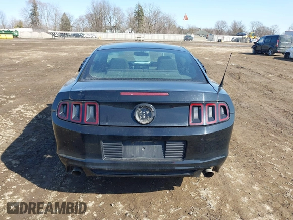 2013 Ford Mustang V6 with VIN 1ZVBP8AM3D5235860, listed as a IAAI auction lot 41778077 with 163,671 mi miles and . Bid and sale history available at DreamBid. Image 16.