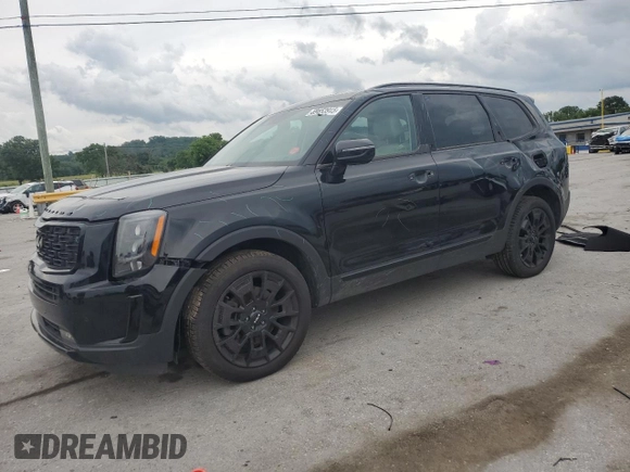 2022 Kia Telluride SX with VIN 5XYP5DHC0NG195265, listed as a Copart auction lot 59853915 with 80,175 mi miles and Salvage title. Bid and sale history available at DreamBid. Image 1.