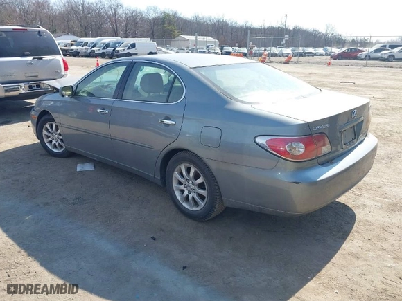 2002 Lexus ES 300 with VIN JTHBF30G125019778, listed as a IAAI auction lot 41780199 with 204,065 mi miles. Bid and sale history available at carsss.com. Image 3.