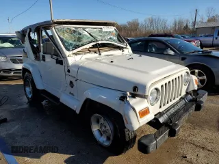 2002 Jeep Wrangler Sahara with VIN 1J4FA59S42P707938, listed as a Copart auction lot 81139774 with 168,338 mi miles and Salvage Title. Bid and sale history available at carsss.com. Image 4.