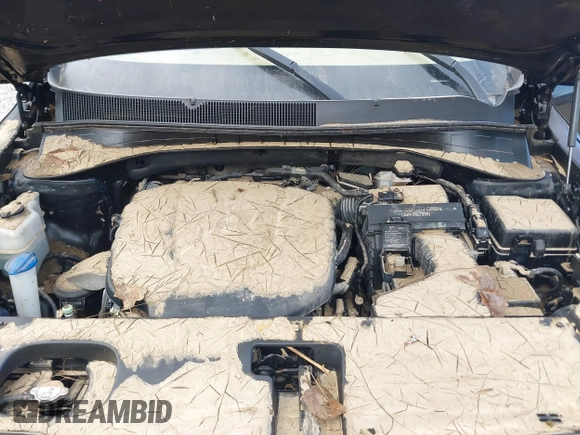 2017 Kia Sorento EX with VIN 5XYPHDA54HG323420, listed as a IAAI auction lot 41649355 with Not Provided miles and . Bid and sale history available at DreamBid. Image 10.