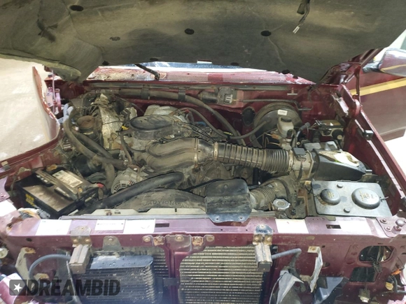 1996 Ford F-150 with VIN 1FTEX14N8TKA35505, listed as a Copart auction lot 87206374 with 126,504 mi miles and Clean Title. Bid and sale history available at carsss.com. Image 11.