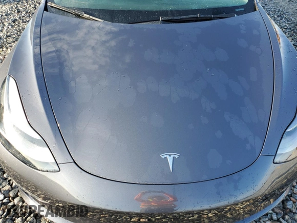 2023 Tesla Model 3 with VIN 5YJ3E1EA6PF436689, listed as a Copart auction lot 54019835 with Not Provided miles and Non Repairable. Bid and sale history available at DreamBid. Image 11.