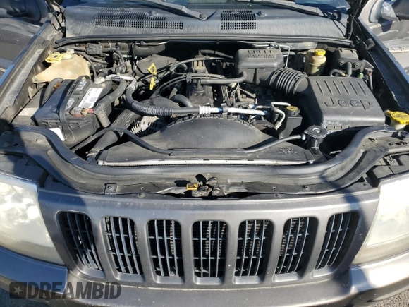 1999 Jeep Grand Cherokee Limited with VIN 1J4G268SXXC759016, listed as a Copart auction lot 80307534 with 215,870 mi miles and Salvage title. Bid and sale history available at DreamBid. Image 12.