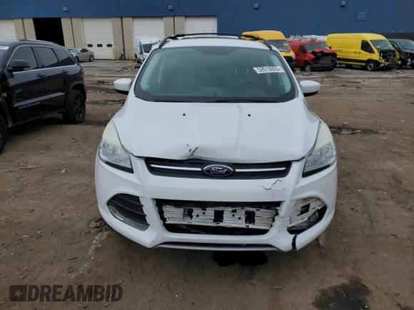2013 Ford Escape SE with VIN 1FMCU0GX6DUA39707, listed as a Copart auction lot 52613935 with 167,099 mi miles and Clean Title. Bid and sale history available at carsss.com. Image 5.