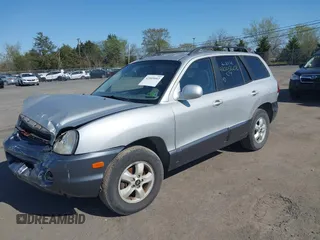 2006 Hyundai Santa Fe GLS with VIN KM8SC13D96U071585, listed as a IAAI auction lot 42005602 with 195,143 mi miles. Bid and sale history available at carsss.com. Image 16.