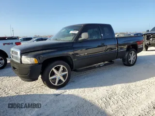 2000 Dodge 1500 with VIN 1B7HC13Z7YJ122323, listed as a Copart auction lot 77254054 with Not Provided miles and Non Repairable. Bid and sale history available at DreamBid. Image 1.