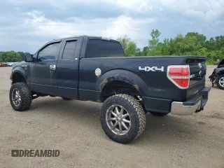 2009 Ford F-150 XL with VIN 1FTPX14V09FA78746, listed as a Copart auction lot 64223905 with 228,763 mi miles and Clean title. Bid and sale history available at DreamBid. Image 2.