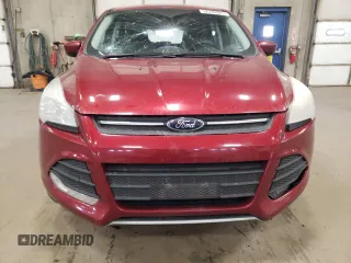 2016 Ford Escape SE with VIN 1FMCU0GX1GUA70710, listed as a Copart auction lot 52299925 with 205,760 mi miles and Salvage Title. Bid and sale history available at carsss.com. Image 5.